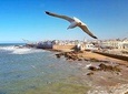 Essaouira: Private Full Day Luxury Coastal Tour From Marrakech