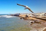 Essaouira: Private Full Day Luxury Coastal Tour From Marrakech