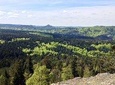 Alsace Discovery Private Tour with Local Villages & Castles
