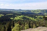Alsace Discovery Private Tour with Local Villages & Castles