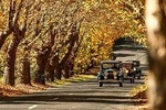 Blue Mountains Vintage Cadillac Tour with Local Guide