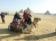 The Giza Pyramids, Memphis & Sakkara Tour