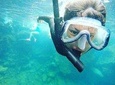 Tour to Tuneles & Cabo Rosa (Isabela Island)