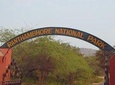 Ranthambore to Jaipur one way drop service