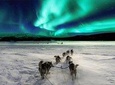 Northern Lights show with us on a VIP car with a personal guide Rovaniemi