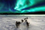 Northern Lights show with us on a VIP car with a personal guide Rovaniemi