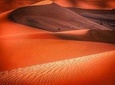 Thrilling Red Dune Safari + Quad Bike and BBQ Dinner and Belly Dance