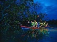 Fireflies Tour Include Seafood Dinner