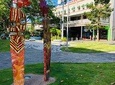 Cairns History Walking Tour