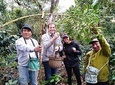 Coffee plantation tour full day