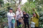 Coffee plantation tour full day