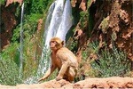 Private Day Tour To The Ouzoud Falls From Marrakech