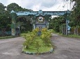 Jungle Adventure - Cross River National Park