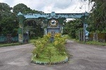 Jungle Adventure - Cross River National Park