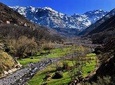 Excursions day tour From Marrakech to Atlas Mountains