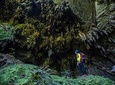 Hang Gieng Vooc Jungle Trekking And Hiking
