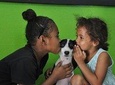 Shelter Visit & Tour