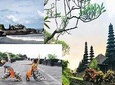 Half-Day Private Tour in Mengwi with Hotel Pick-Up