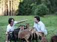 Adventure lesson with farm animals