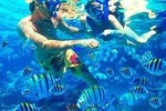 Bali Full Day Tour - Blue Lagoon Snorkeling Tour