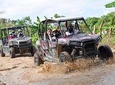 Family Polaris - Suzuka Tours Punta Cana