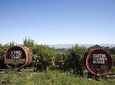 Chianti Region and San Gimignano including wine tasting and light lunch