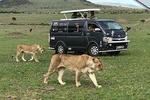 3 Days adventurous Maasai Mara Budget Group Safari