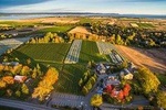 Valley Wine Tour