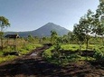SUNRISE TREKKING MT BATUR KINTAMANI with BREAKFAST