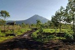SUNRISE TREKKING MT BATUR KINTAMANI with BREAKFAST