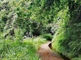 Kings Levada - São Jorge