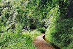 Kings Levada - São Jorge