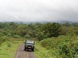 7 Day Joined Safari Serengeti,Ngorongoro,Manyara,Tarangire,Arusha National Park