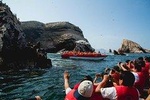 Huacachina Oasis & Sandboarding & Ballestas Islands - from Lima (Small Group)