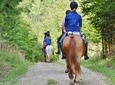 Horse Riding In The Forest