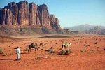Private One Day Tour Petra and Wadi Rum from Amman, Dead Sea, Airport