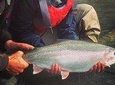 Full day fishing trips