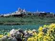 Mdina, Dingli cliffs and San Anton Gardens guided tour