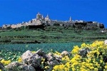 Mdina, Dingli cliffs and San Anton Gardens guided tour