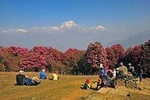 Ghorepani Poon Hill Trek