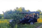 Chobe Full day 