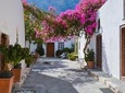 A full 8 hour Santrorini Tour (private)