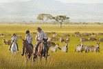 6 Day luxury Safari Serengeti,Ngorongoro,Manyara,Tarangire,Arusha National Park
