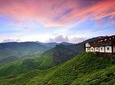 Cameron Highlands Full-Day Tour
