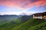 Cameron Highlands Full-Day Tour