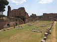 Roman Forum and Palatine Hill