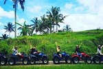 Bali Quad Biking Adventure