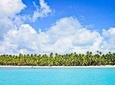 Saona Island Full Day From Punta Cana