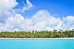 Saona Island Full Day From Punta Cana