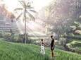 Ubud - Private Tour with Wifi onboard